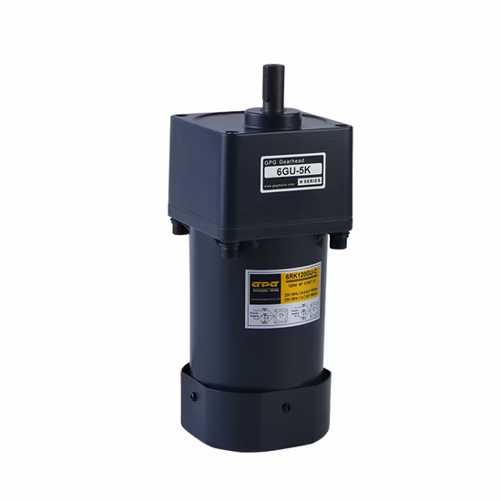 Gpg VTV Пеллетная горелка Котёл Дозирующий дозирующий насос Реверсивный асинхронный мотор-редуктор Micro AC 4ik25gnc 8 об/мин Yn80